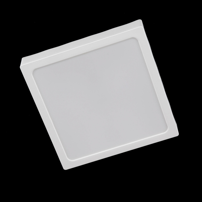 Светильник накладной Citilux Галс CL55K22N