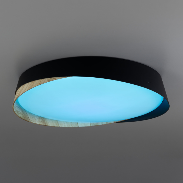 Светильник потолочный Citilux BONNY CL754351G