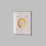 Настенная панель управления Denkirs Smart control DK7200-WH