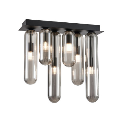 Потолочный светильник Favourite 4454-6P