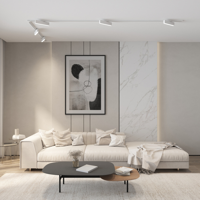 Светильник на шине Denkirs SOLID Hals DK6440-WH