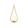 Подвесной светильник Ambrella light TR2599