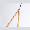 Подвесной светильник Ambrella light TR2599
