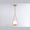 Подвесной светильник Ambrella light TR2599