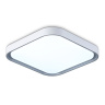 Потолочный светодиодный светильник Ambrella light FZ1256