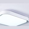 Потолочный светодиодный светильник Ambrella light FZ1256
