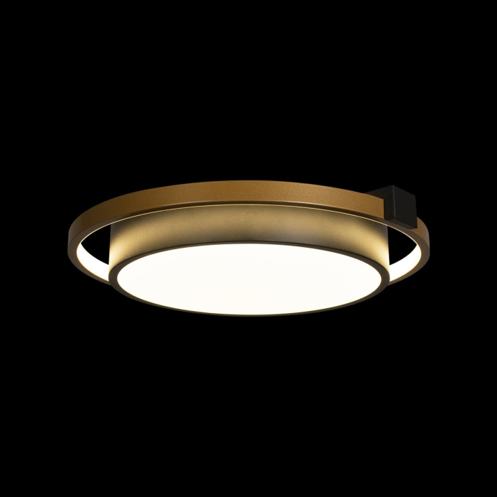 Потолочный светильник Loft it Mike 10169