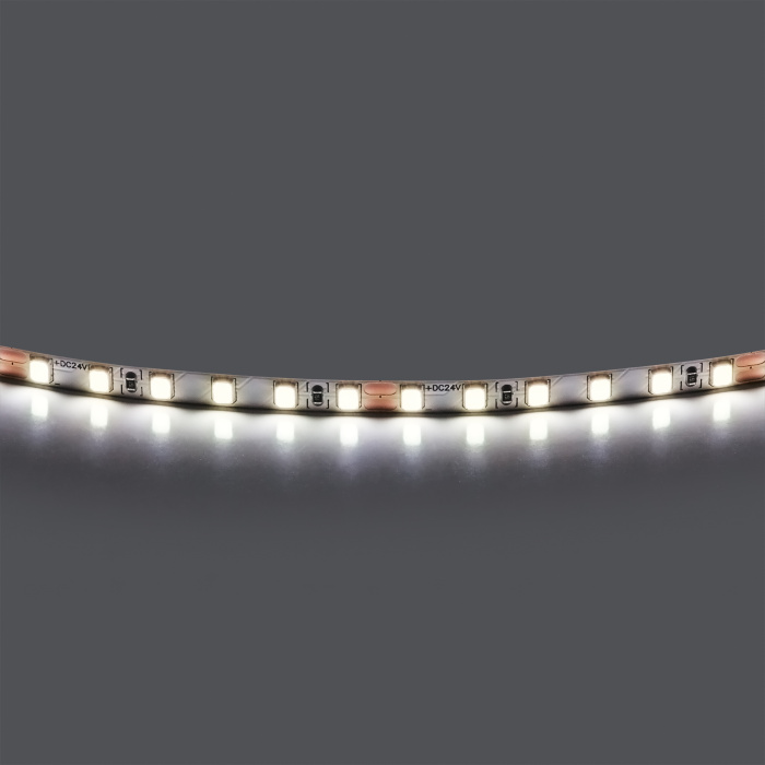 Лента холодного белого свечения 24V 420505