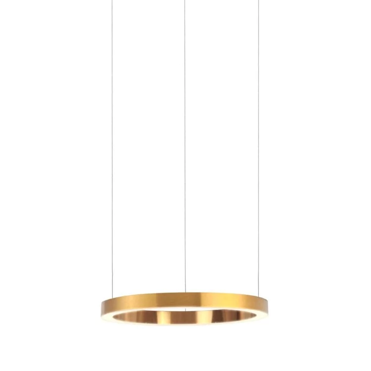 Светодиодный подвесной светильник L'Arte Luce Luxury Light Ring L48105