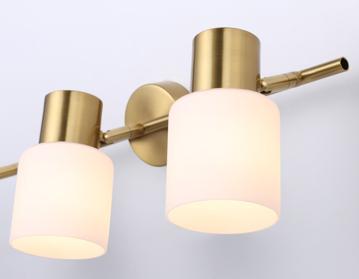 Настенно-потолочный спот Ambrella light TR3972