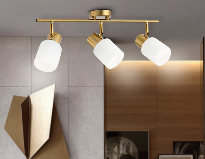 Настенно-потолочный спот Ambrella light TR3972