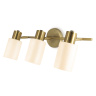 Настенно-потолочный спот Ambrella light TR3972