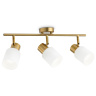 Настенно-потолочный спот Ambrella light TR3972