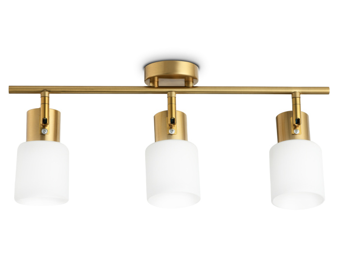 Настенно-потолочный спот Ambrella light TR3972