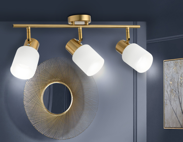 Настенно-потолочный спот Ambrella light TR3972