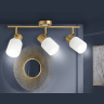 Настенно-потолочный спот Ambrella light TR3972