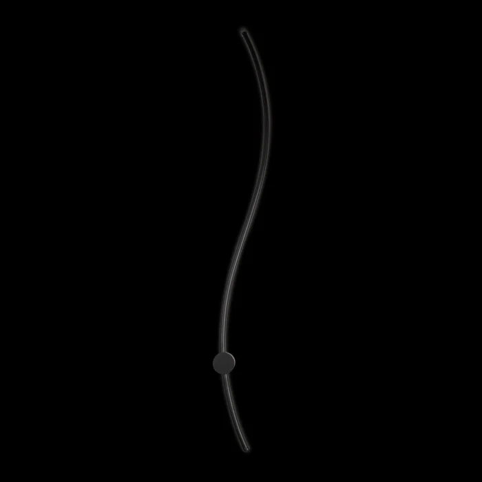 Настенный светильник  LOFT IT Rays 10154 BK