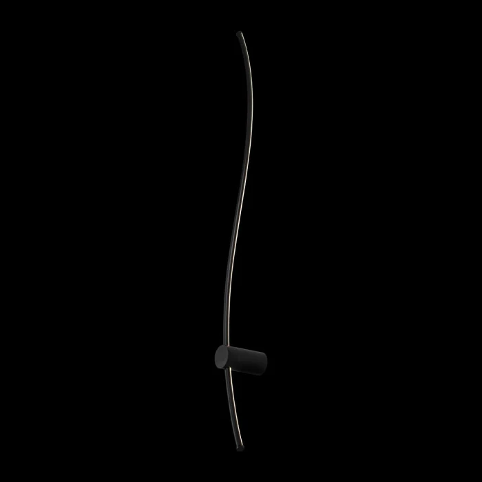 Настенный светильник  LOFT IT Rays 10154 BK