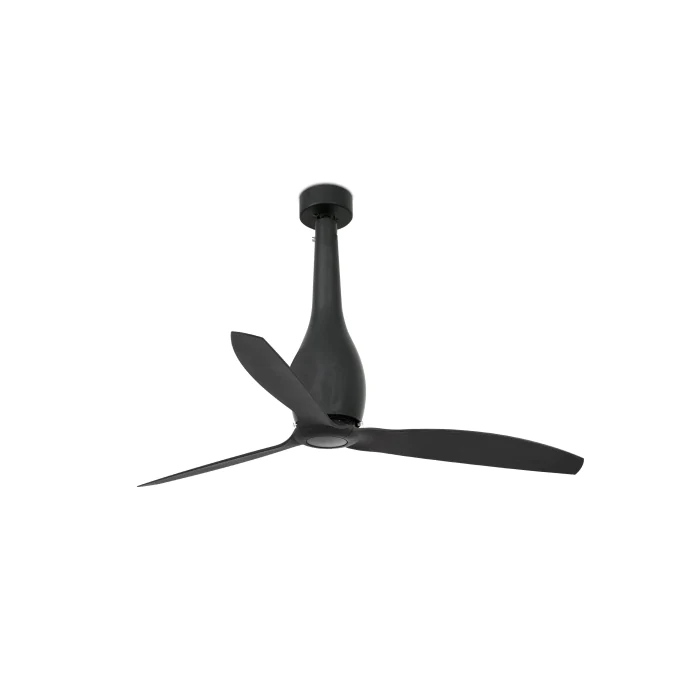 Вентилятор без света ETERFAN Matt black ceiling fan with DC motor