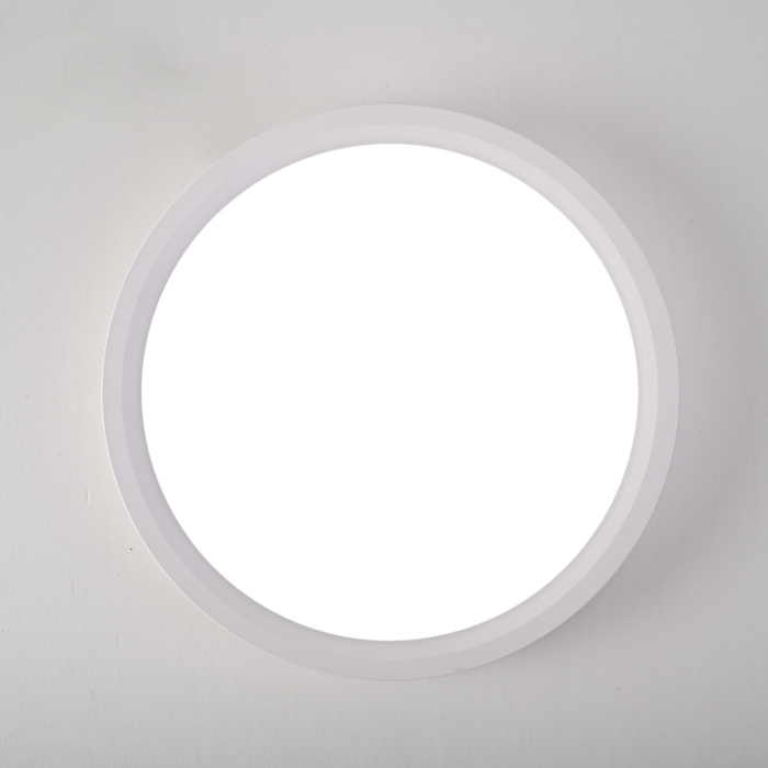 Потолочный светильник SLIM D17 Белый ImperiumLoft