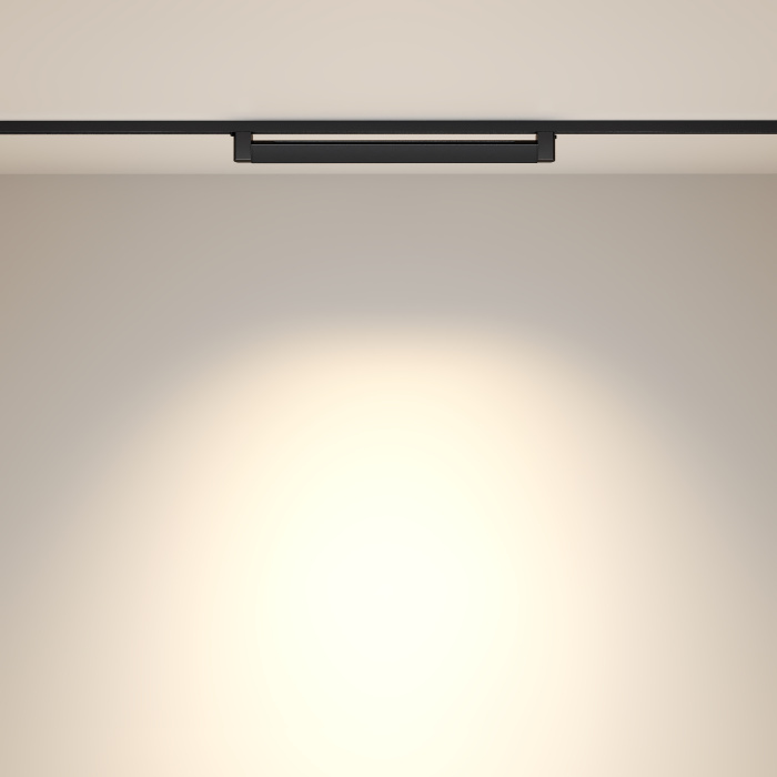 Трековый светильник Maytoni Points Rot TR010-1-20W3K-M-B