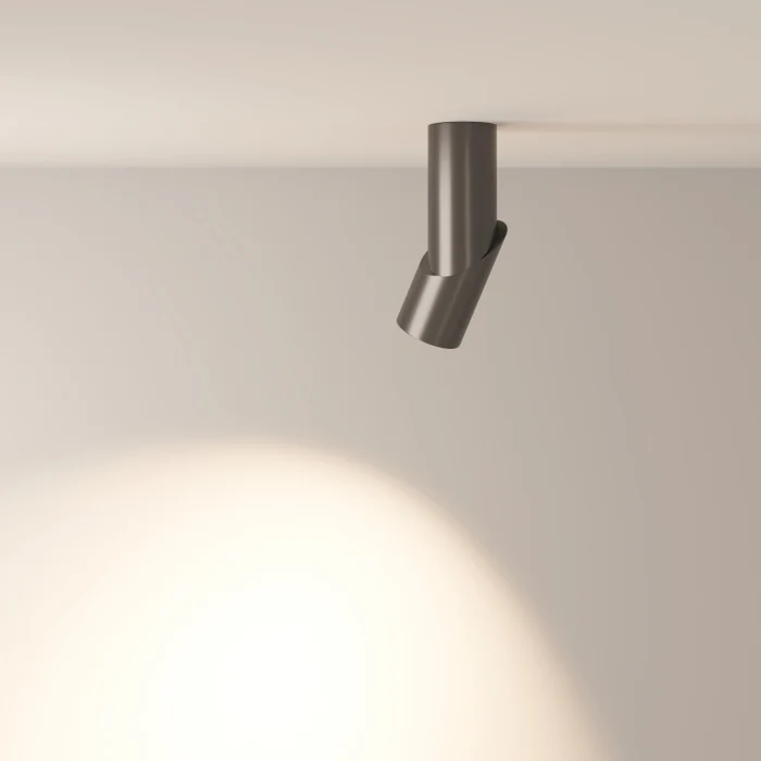 Спот Maytoni Dafne C027CL-L10B4K