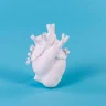 Ваза Seletti Love in Bloom 9920