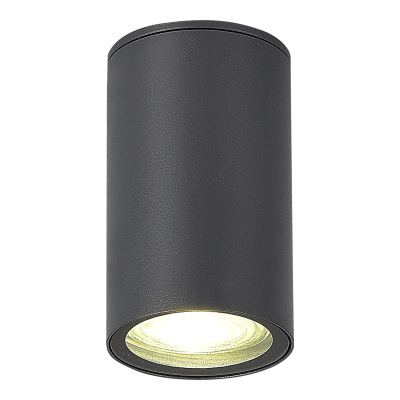 Светильник уличный потолочный ST-LuceСерый GU10 1*50W SL9010.712.01