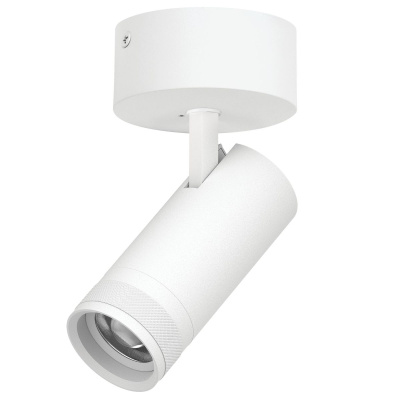 Спот 20-55G с адаптером Lightstar Canno Pro C4206SO