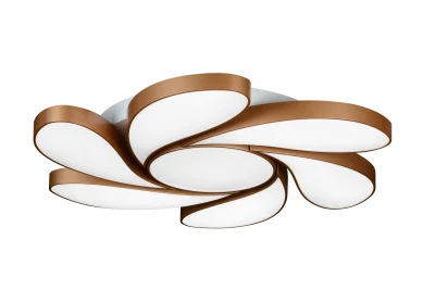 Потолочная люстра iLedex Flower 108W GL