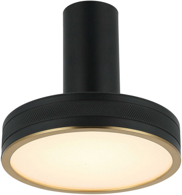 Светильник потолочный настенный Stilfort 4025/02/01CW Tendas