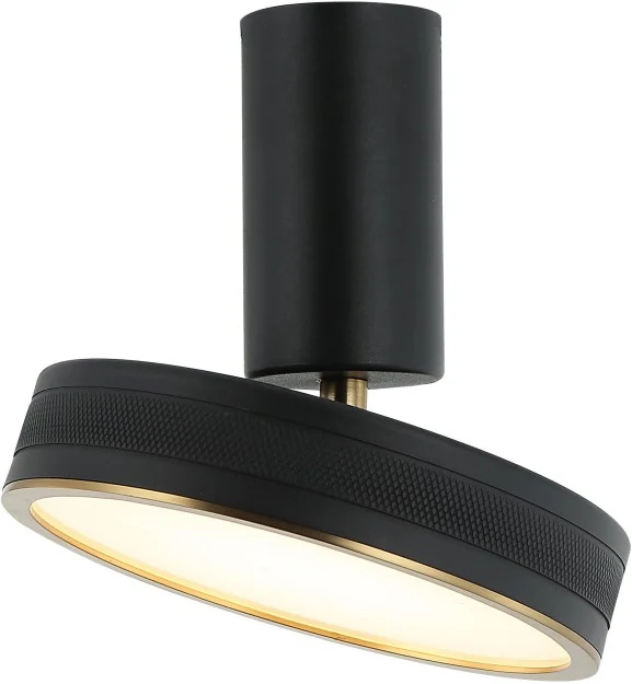 Светильник потолочный настенный Stilfort 4025/02/01CW Tendas