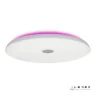 Музыкальный потолочный светильник iLedex Music 1706/600 WH