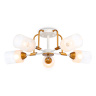 Потолочный светильник Ambrella light TR303323
