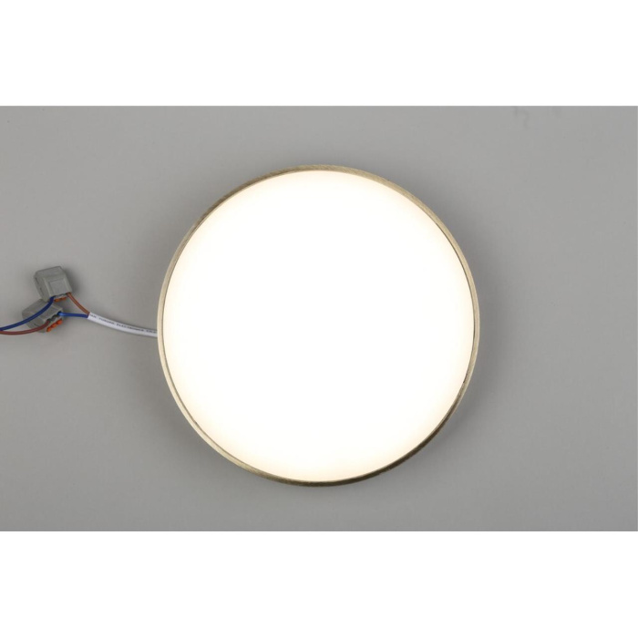 Светильник настенно-потолочный Aployt Evon APL.0114.29.24