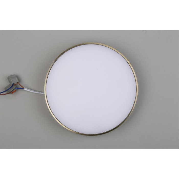 Светильник настенно-потолочный Aployt Evon APL.0114.29.24