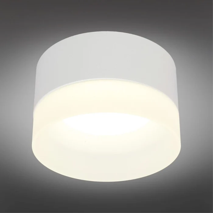 Светильник накладной Omnilux Firenze OML-103109-05