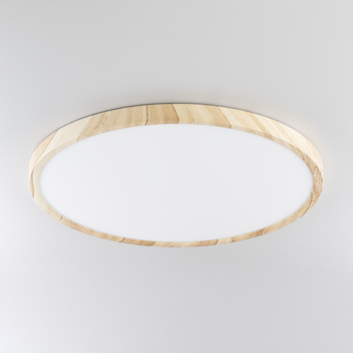 Светильник накладной Citilux Бейсик CL738322V