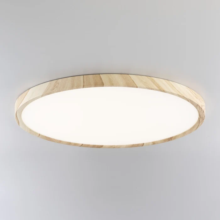 Светильник накладной Citilux Бейсик CL738322V