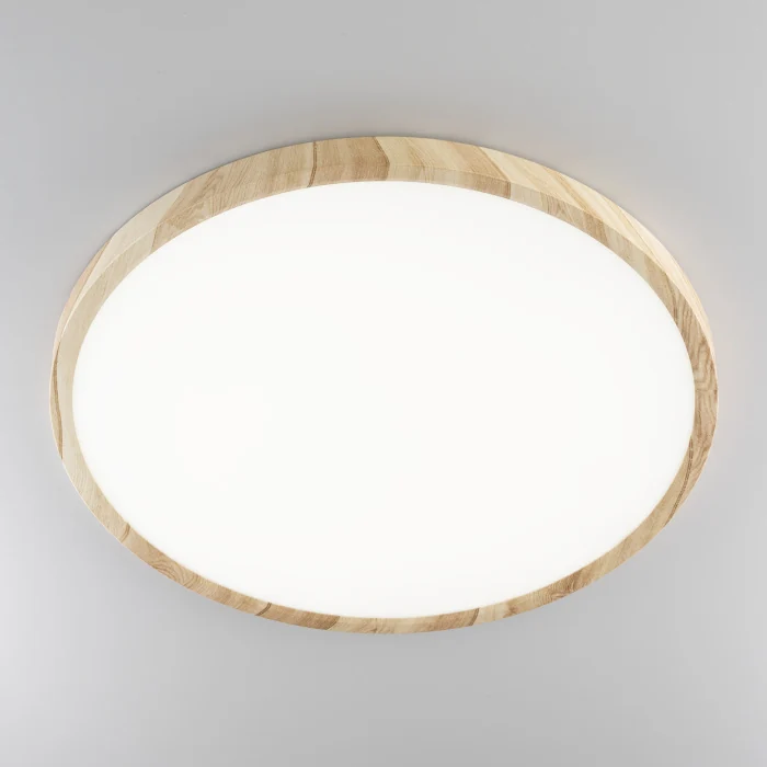 Светильник накладной Citilux Бейсик CL738322V