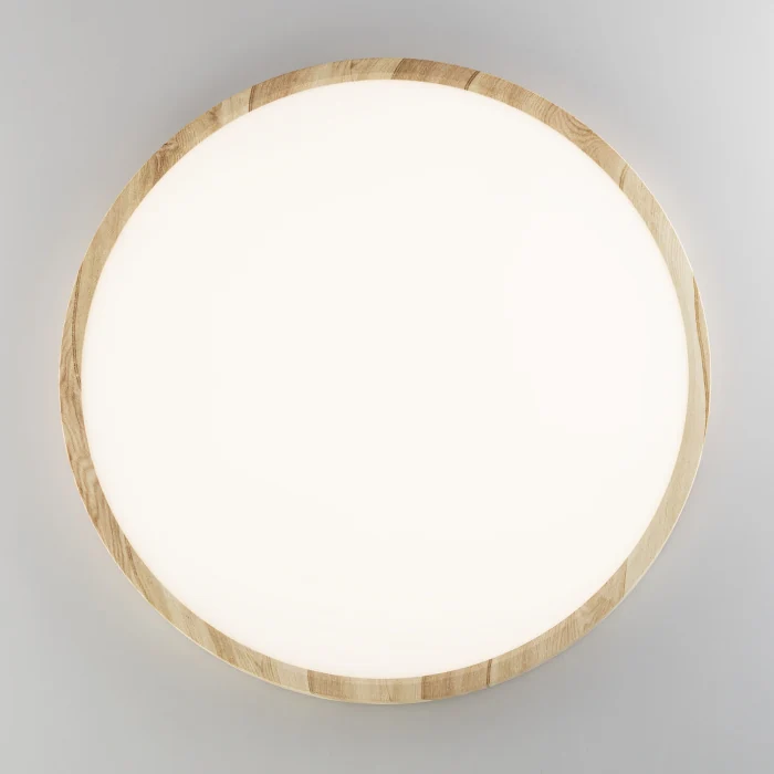 Светильник накладной Citilux Бейсик CL738322V