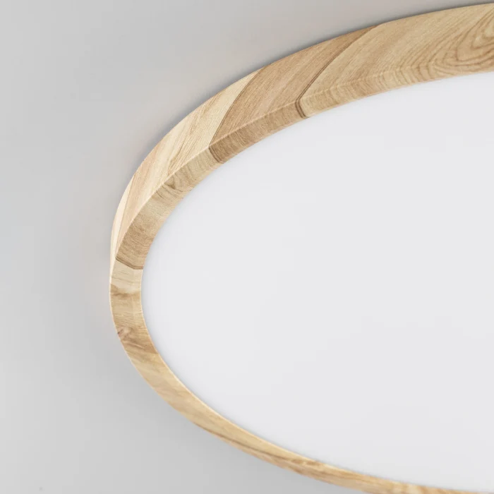 Светильник накладной Citilux Бейсик CL738322V