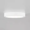 Светильник потолочный Citilux Галс CL5522N