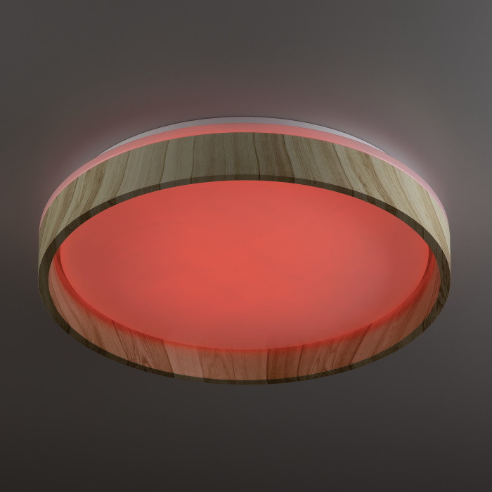 Светильник потолочный Citilux ENZO CL753352G