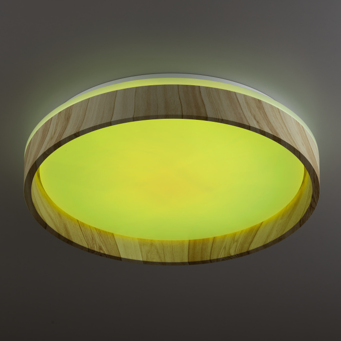 Светильник потолочный Citilux ENZO CL753352G