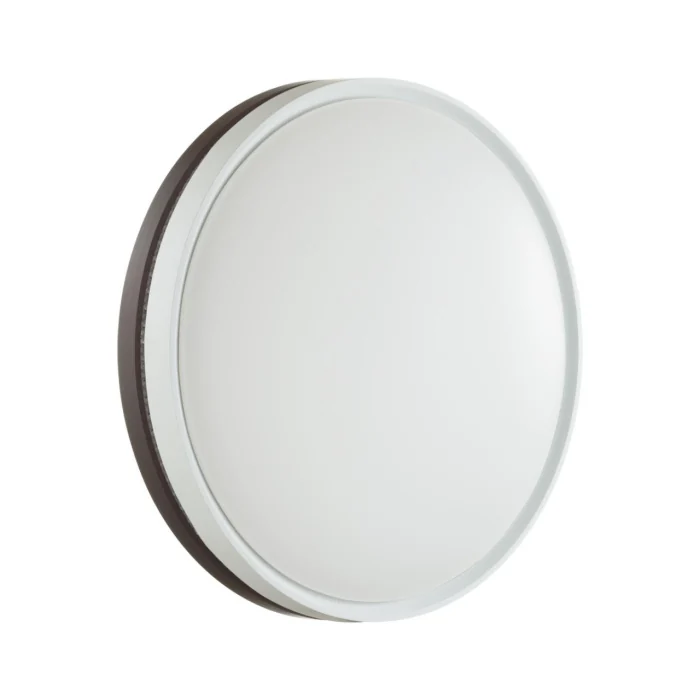 Настенно-потолочный светильник СОНЕКС COLOR 7668/ELN