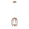 Подвесной светильник Indigo Capsula 14027/2P Gold V000154L