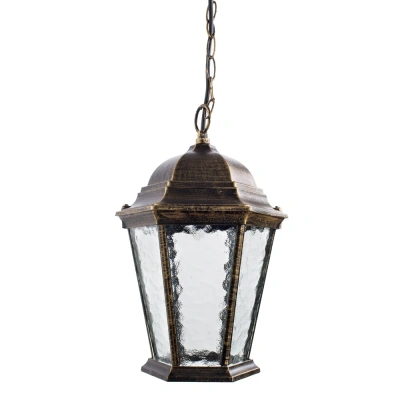 Уличный подвесной светильник Arte Lamp GENOVA A1205SO-1BN