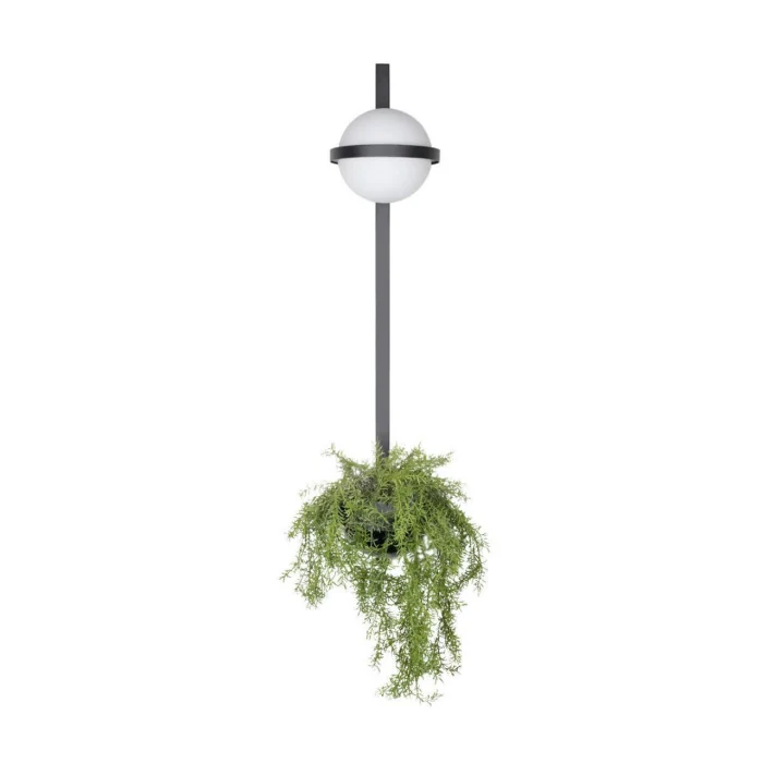 Настенный светильник Loft it Jardin 10121W/B