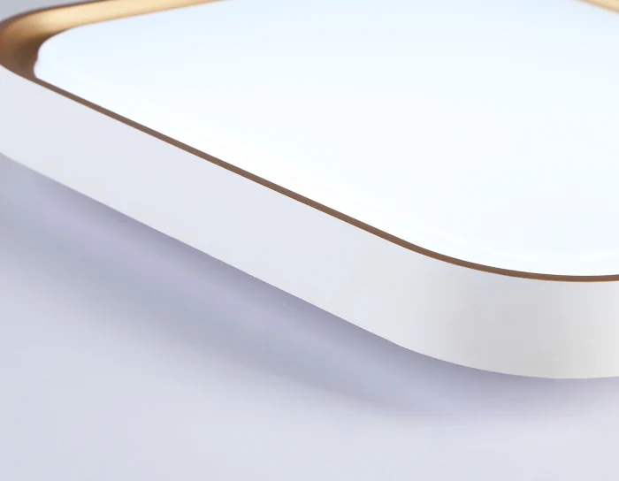 Потолочный светодиодный светильник Ambrella light FZ1259